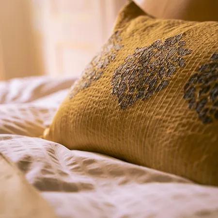 Bed & Breakfast Le D'ouchy Losanna