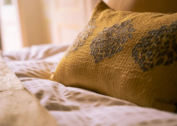 Bed & Breakfast Le D'ouchy Losanna