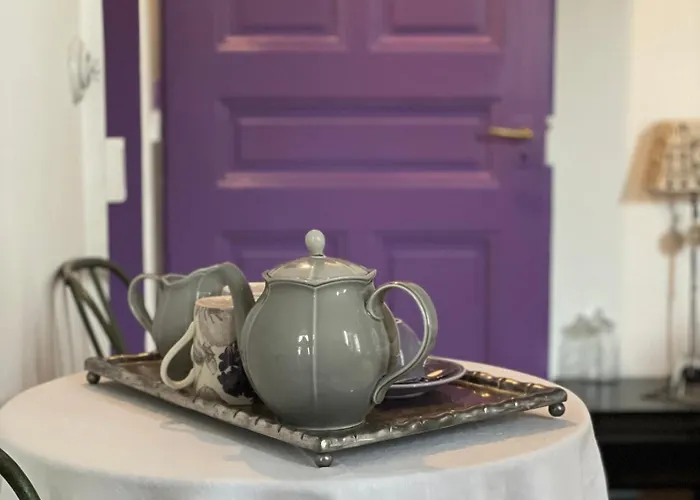 Bed & Breakfast Le D'ouchy Losanna